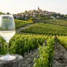 Sancerre au-delà du cliché : comprendre un grand blanc de Loire