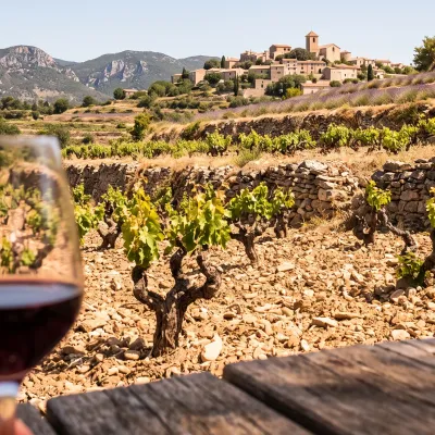 Vinsobres, le sud qui monte : comprendre un cru des Côtes du Rhône